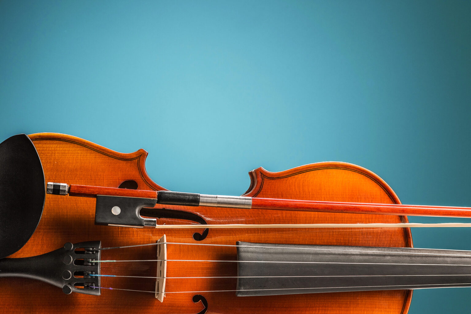 The violin front view